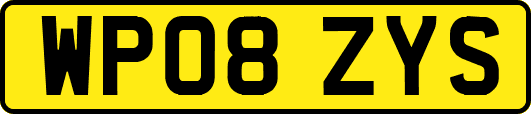 WP08ZYS
