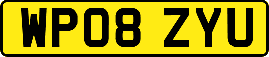 WP08ZYU