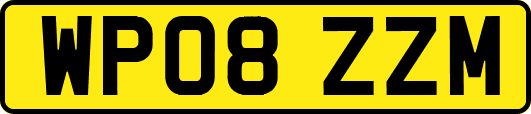 WP08ZZM