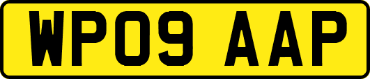 WP09AAP