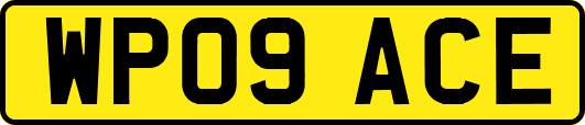 WP09ACE