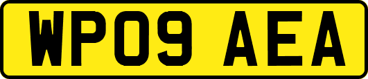 WP09AEA