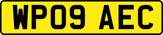 WP09AEC