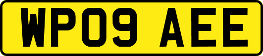 WP09AEE
