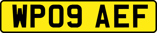 WP09AEF