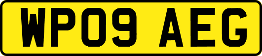 WP09AEG