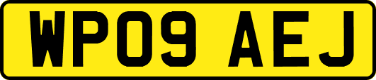 WP09AEJ