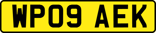 WP09AEK