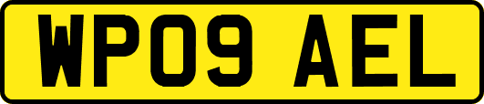 WP09AEL