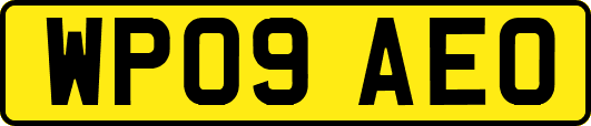 WP09AEO