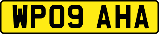 WP09AHA