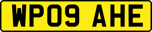 WP09AHE