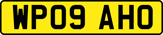 WP09AHO