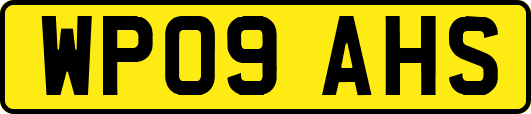 WP09AHS