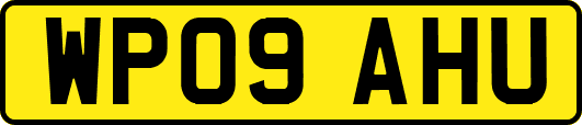 WP09AHU