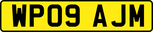 WP09AJM