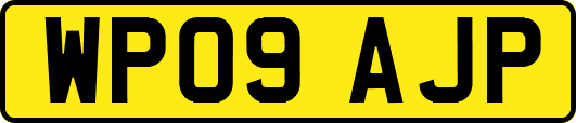 WP09AJP