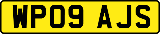 WP09AJS
