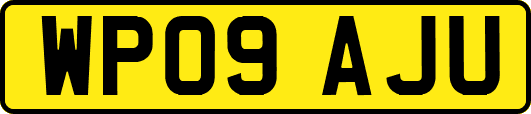 WP09AJU