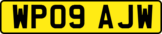 WP09AJW