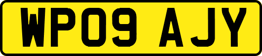 WP09AJY