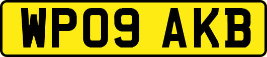 WP09AKB