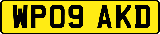 WP09AKD
