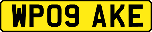WP09AKE