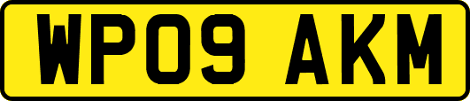 WP09AKM