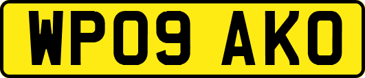 WP09AKO