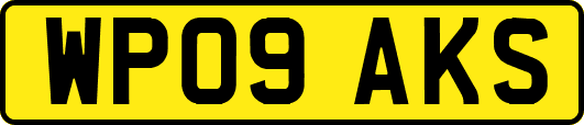 WP09AKS