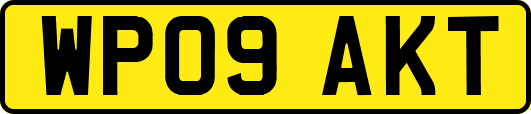 WP09AKT