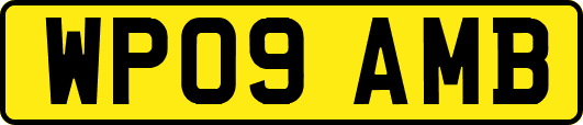 WP09AMB