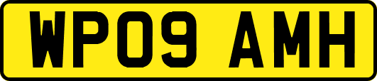 WP09AMH