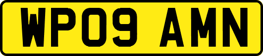WP09AMN