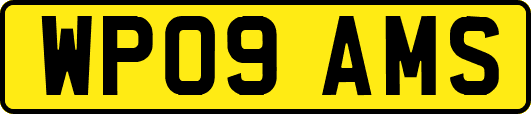 WP09AMS