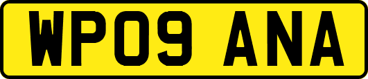 WP09ANA