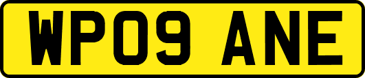 WP09ANE