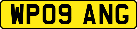 WP09ANG