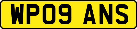 WP09ANS
