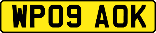 WP09AOK