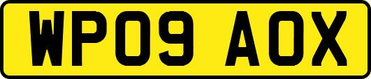 WP09AOX