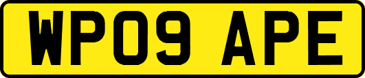 WP09APE