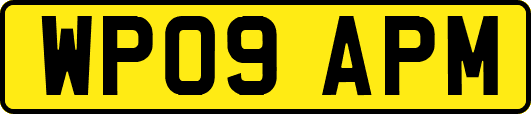 WP09APM