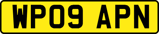 WP09APN