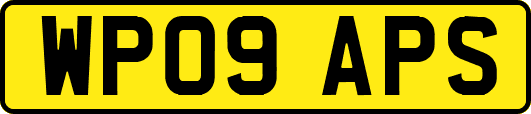 WP09APS