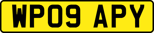 WP09APY