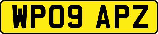 WP09APZ