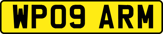 WP09ARM