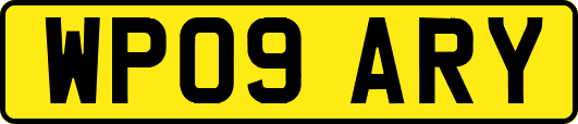 WP09ARY